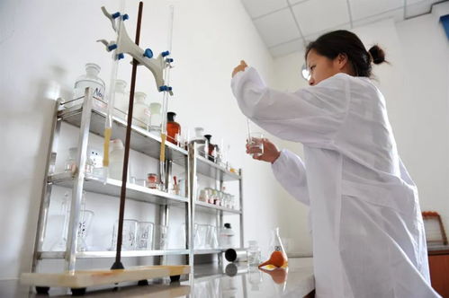 蜕变之路 从复合包装废弃物资源化工厂到城市环境综合服务运营商——专访张婷